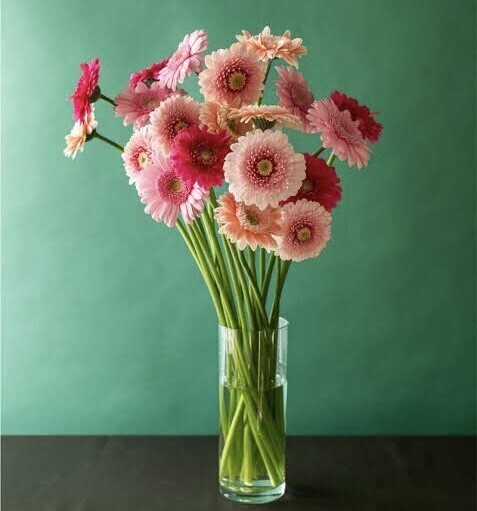 おはようございます。