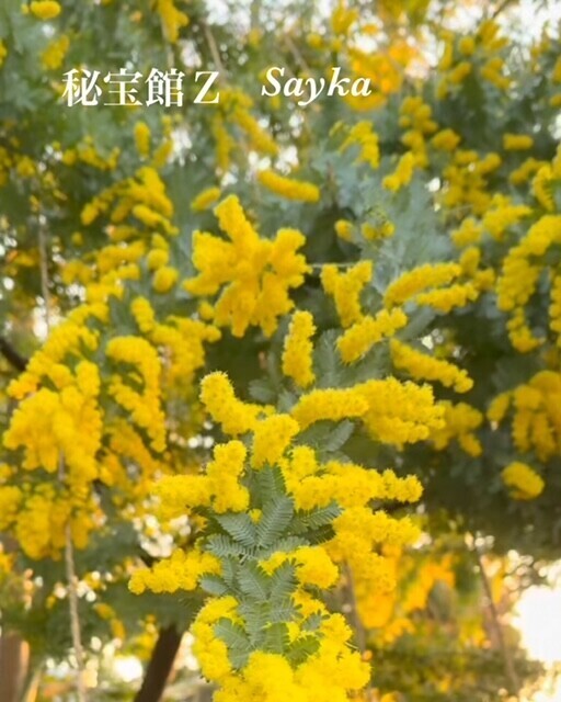 ♡さやかです♡