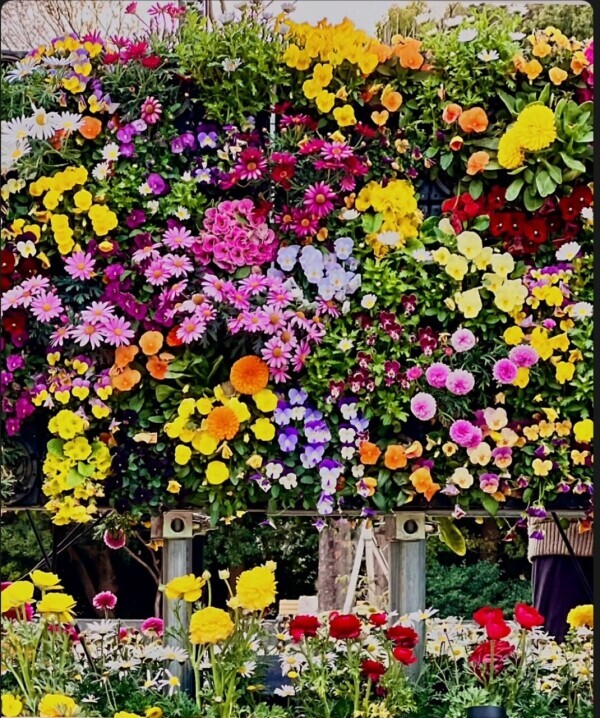 ♡さやかです♡