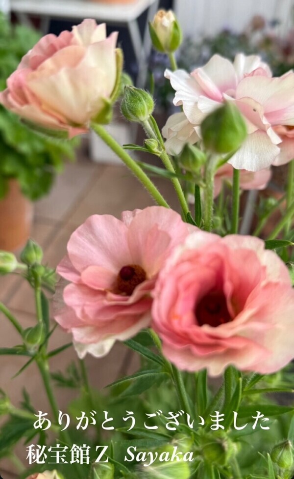 ♡さやかです♡