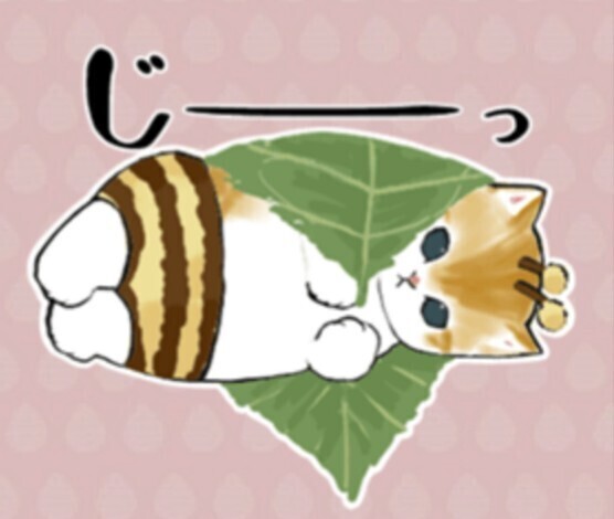 最近のいろいろ