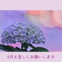 せいこ