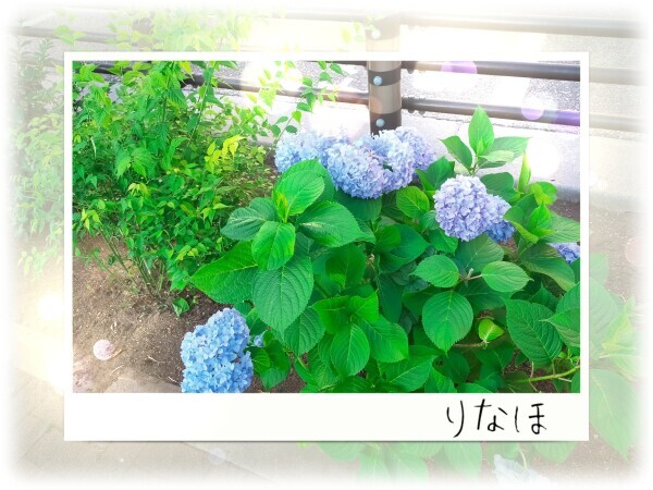 宜しくお願いします