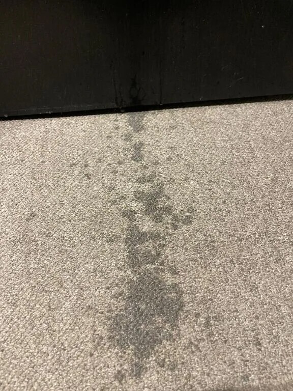 問:1 この写真はなんでしょう