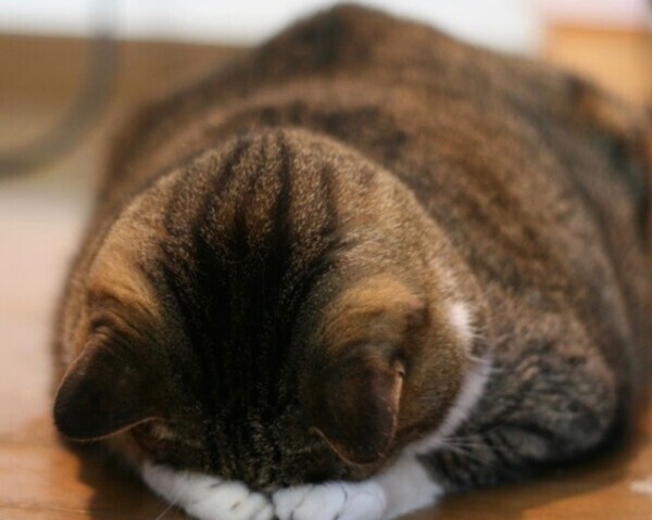 待ってます