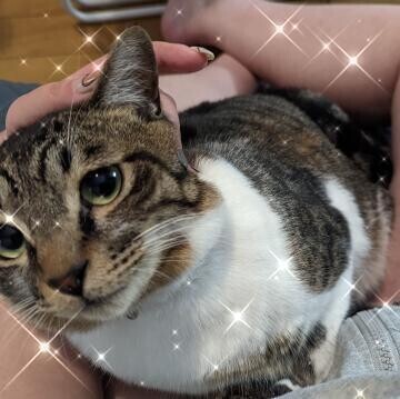 Iさんありがとう