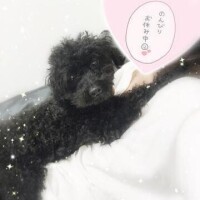 佐々木まお