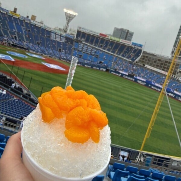 ⚾️野球観戦⚾️