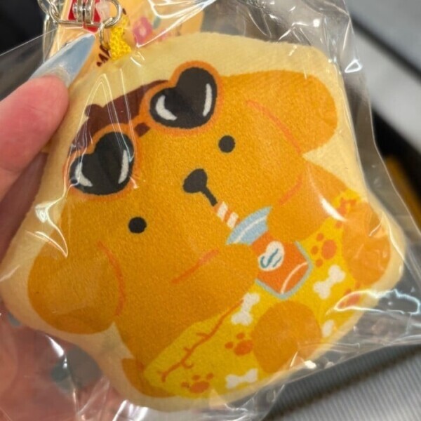 明日から！