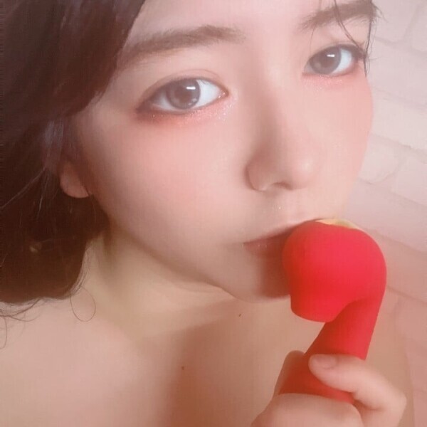他のおもちゃだったらどうなっちゃうんだろ..？