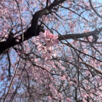 うた