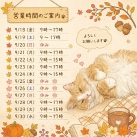 アイナ