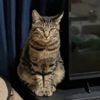 よる