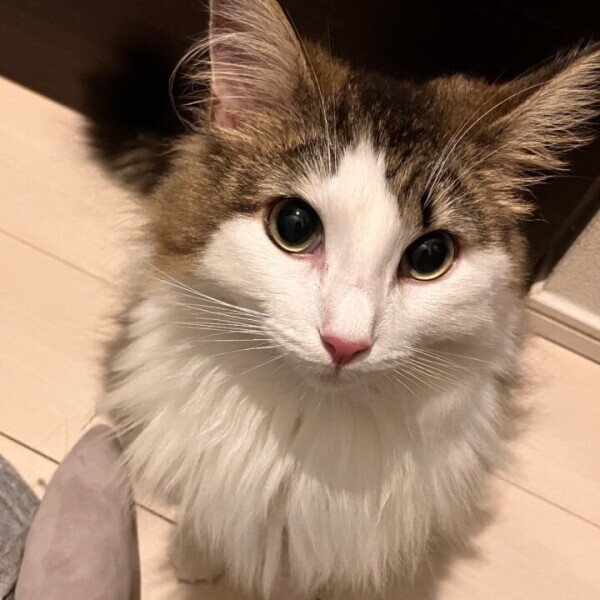 今月のシフトです！