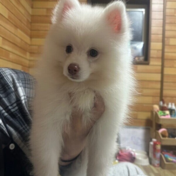 明日待ってるよ☺️💕