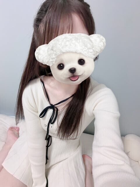 寄り道しない？🐈