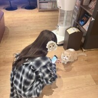 まる