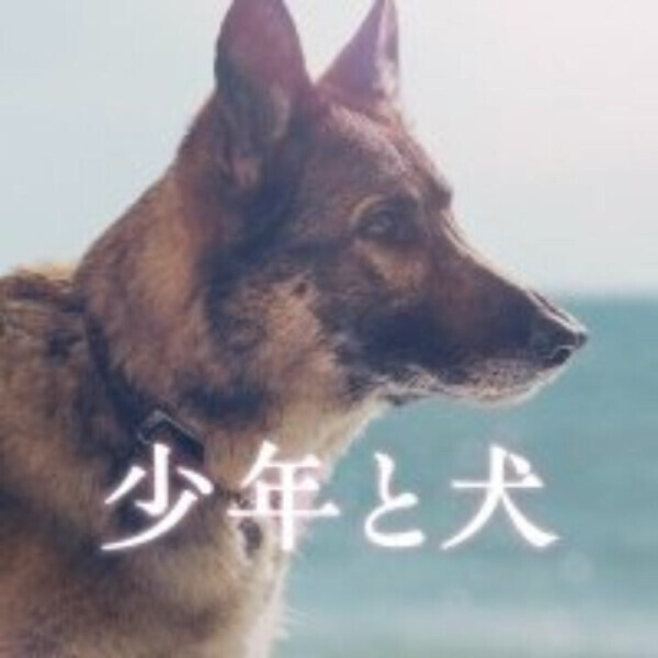 ワンコー❤