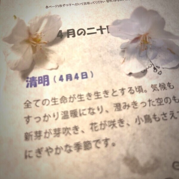 綺麗な言い方