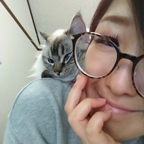 いつものこと