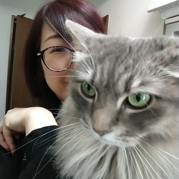いい日