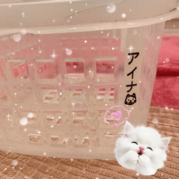 ねこちゃん🐱︎💕︎