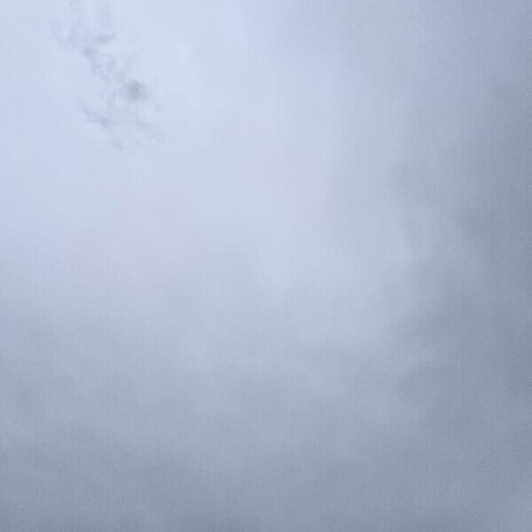 灰色