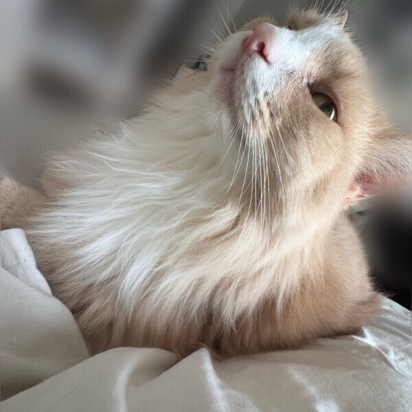 今日お休み頂きました。