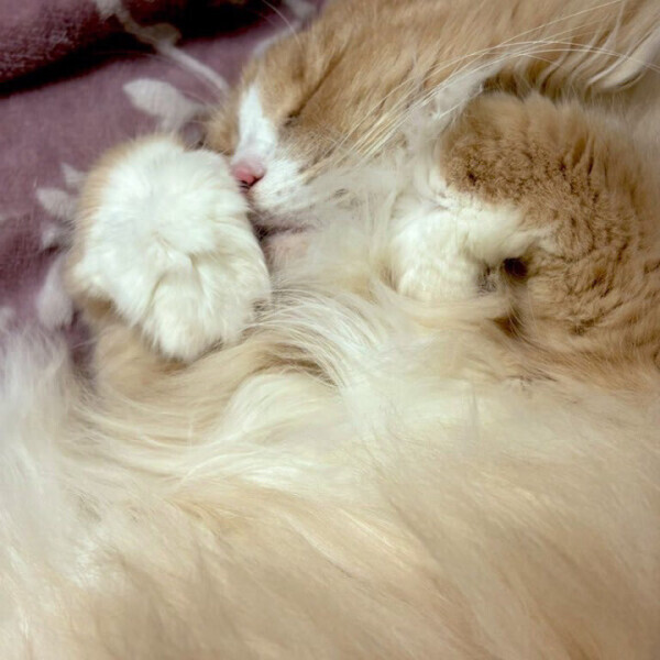 病院行ってきました。