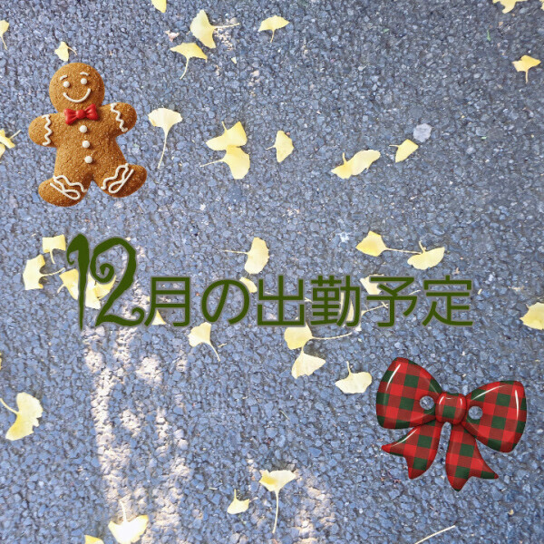 12月の出勤予定♥️