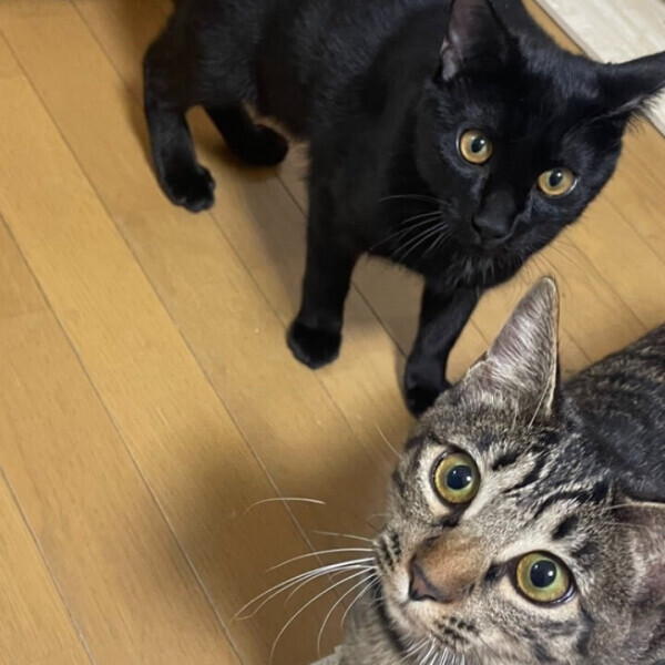 退勤しました！