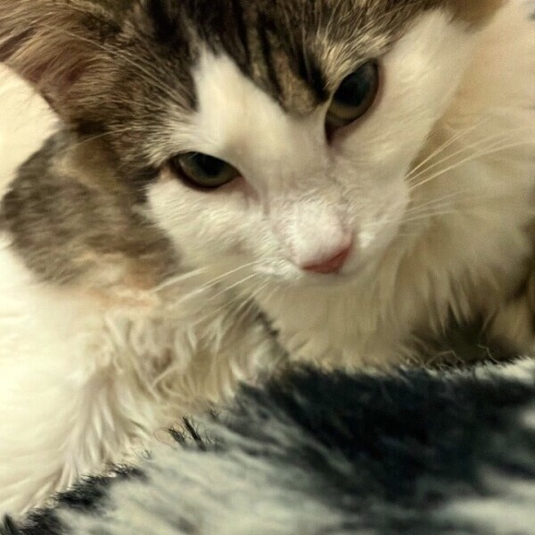 すみません(  . .)"