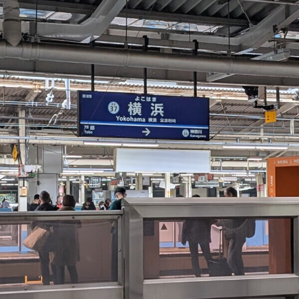 横浜舞い降りましたヨ‼️