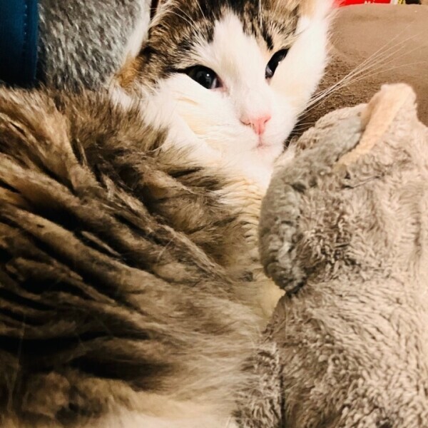 おはようございます