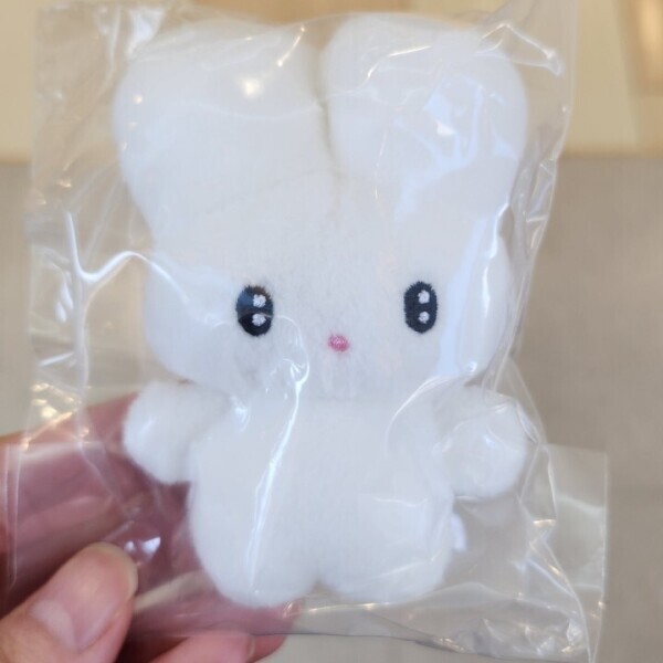 ガチャ運良すぎた