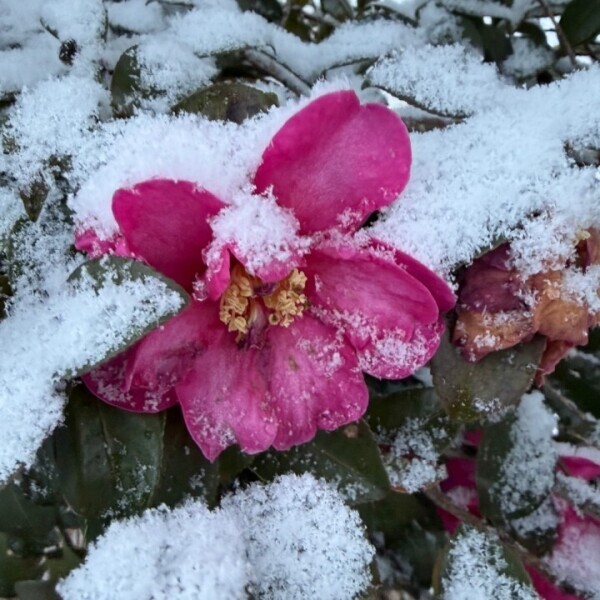 夢でもスリップしたくない