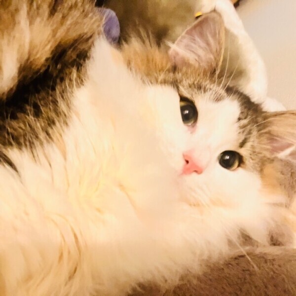 本日お休みさせて頂きました