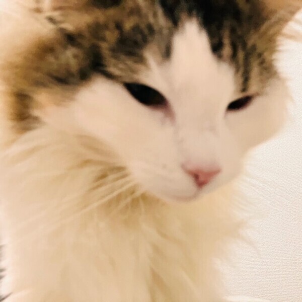 月末は少なめかもです