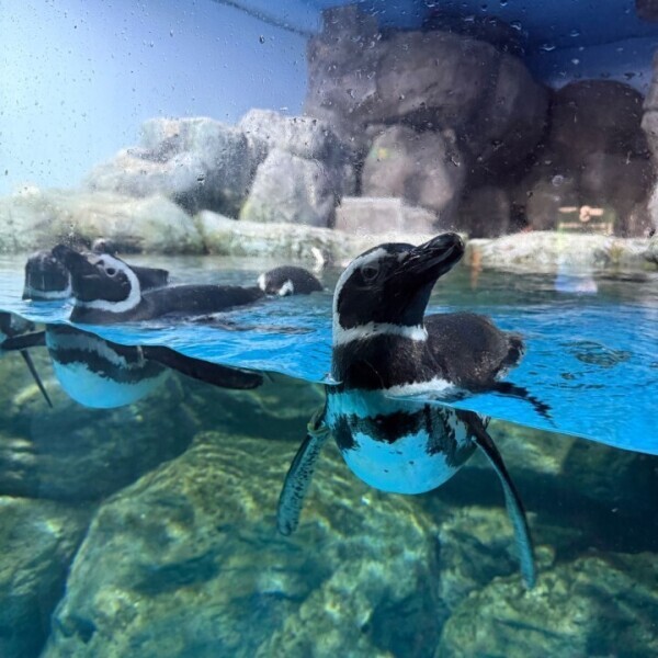 明日は遅番だよ🥹待ってるね🥰