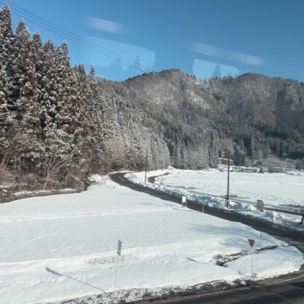 市内は雪が無かったよ