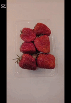 【ボイス動画】春を感じたくて