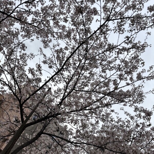 3月ありがとう🫶🏻