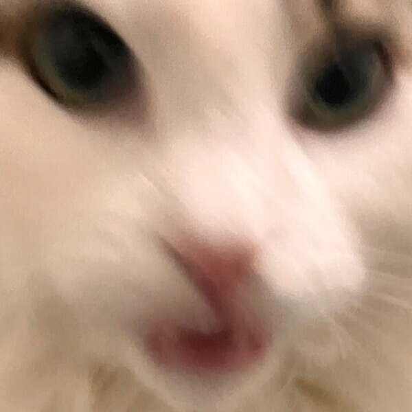 明日も！