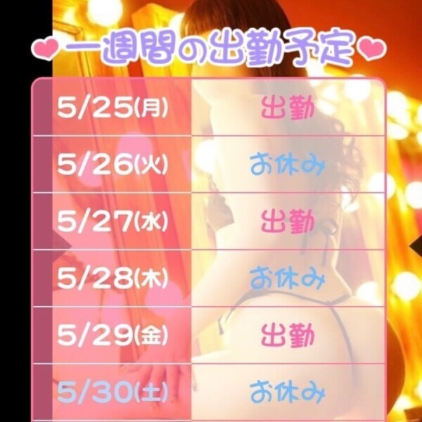 今週の予定