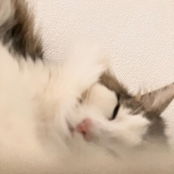 時間短くなりました(>_<。)