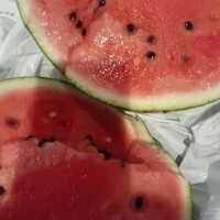 本日もたっぷり舐め回し襲わせて?