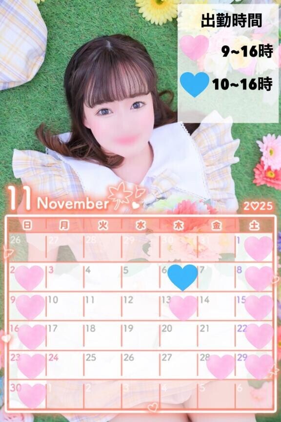 ?11月のスケジュール?