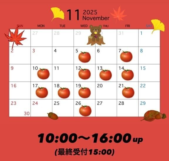 11月??