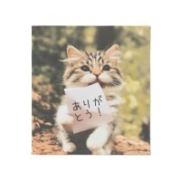 高宮ほのか