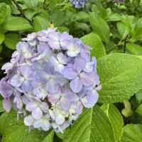 おはようございま〜す！